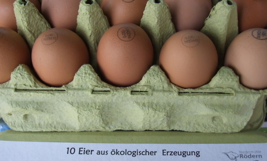 6 Eier Größe M BIO