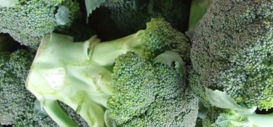 0,5 kg Broccoli BIO